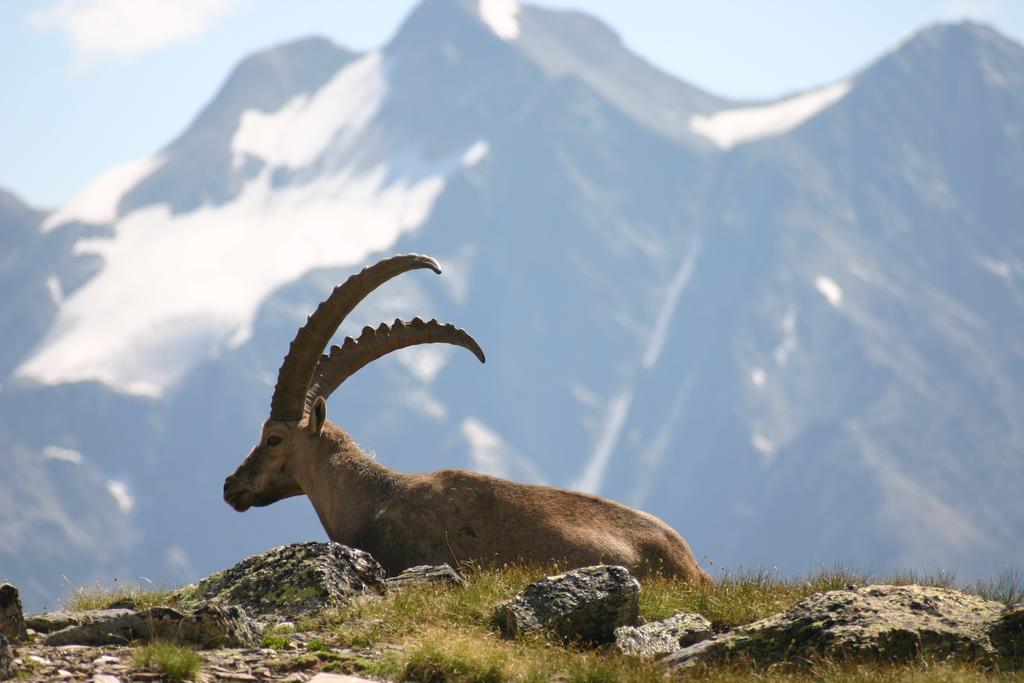 Apartamento S'Huamatl Sankt Leonhard im Pitztal Exterior foto